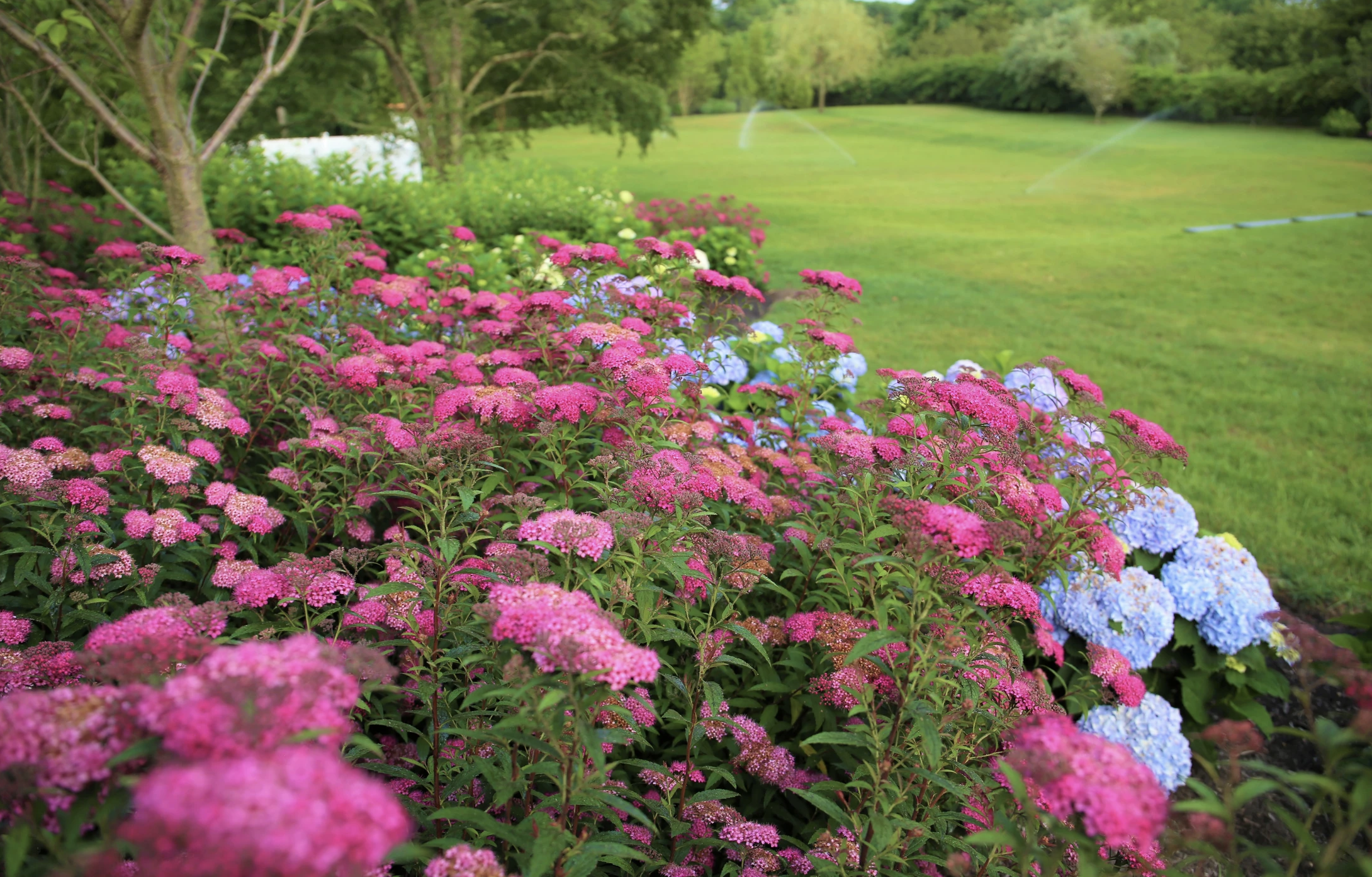 Screen Shot 2024-02-09 at 12.20.23 PM.png