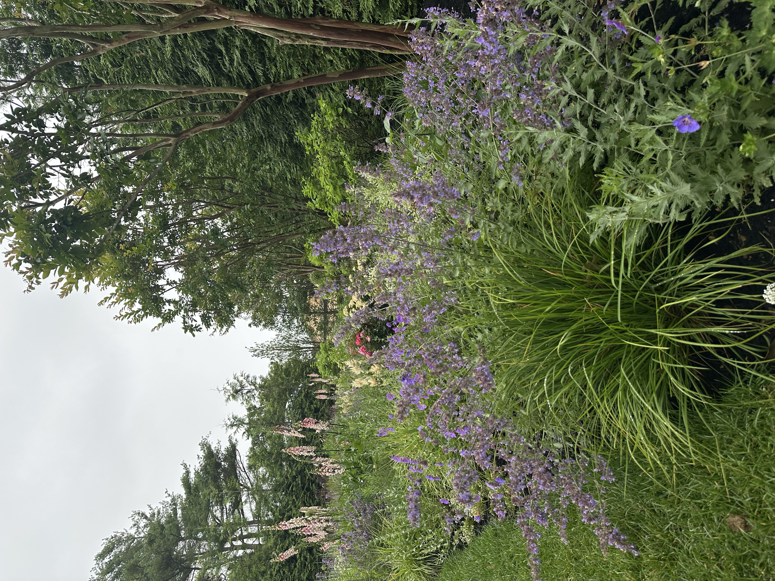 IMG_5394.png
