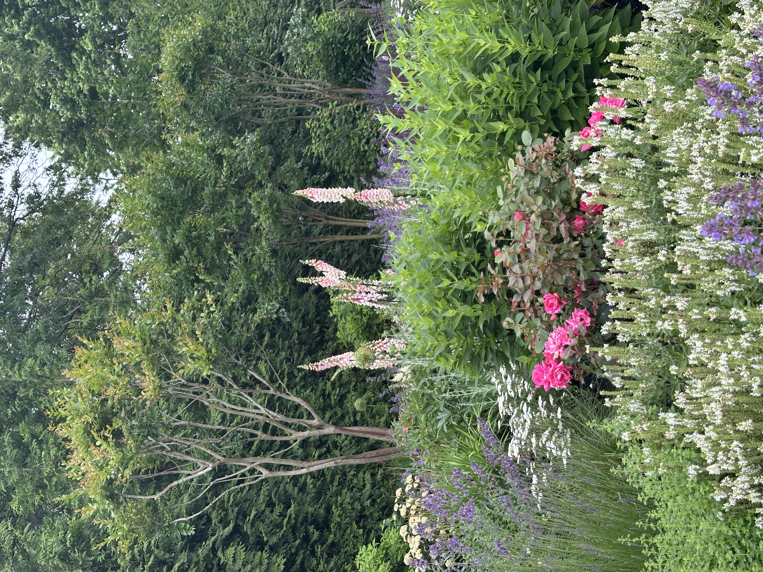 IMG_5387.png