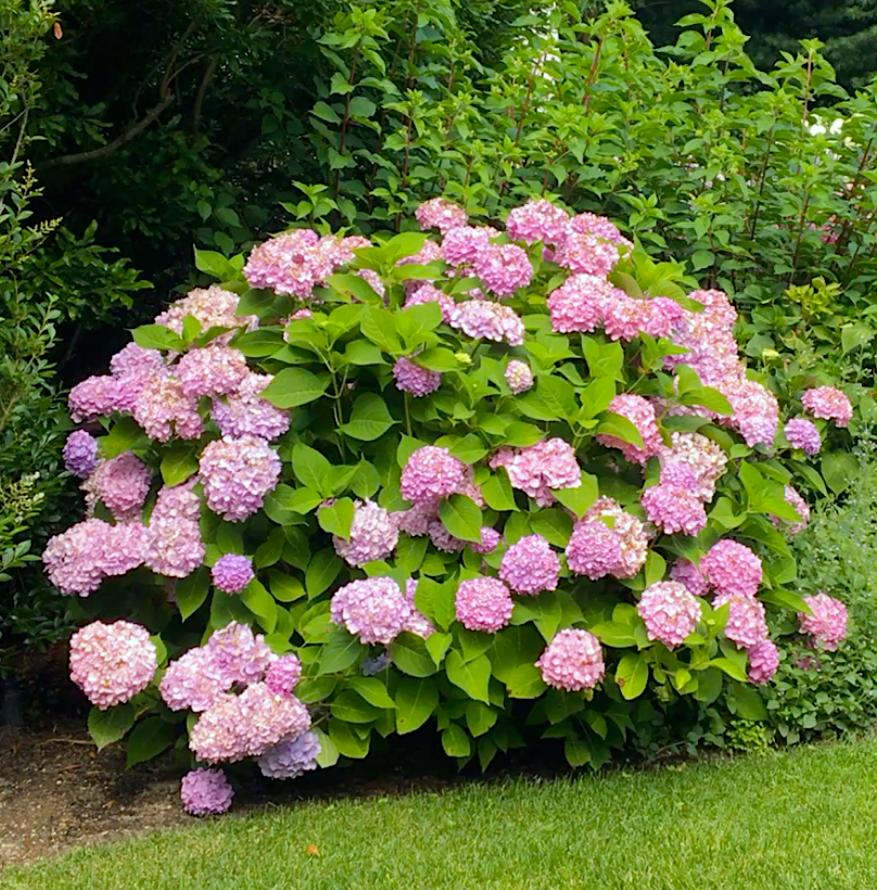 Screenshot 2026-03-18 at 11.11.06 AM.png