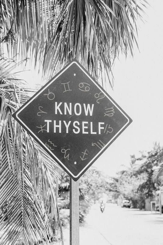 A street sign with the phrase "Know Thyself" surrounded by zodiac symbols, set against palm tree leaves and a bright outdoor scene.
