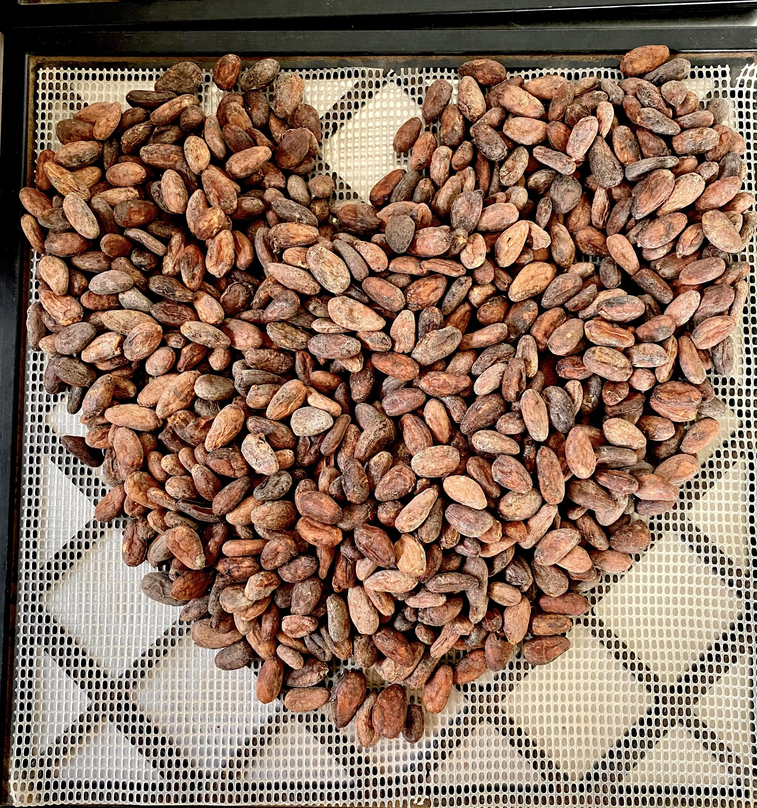 Cacao Ceremony with Storytelling