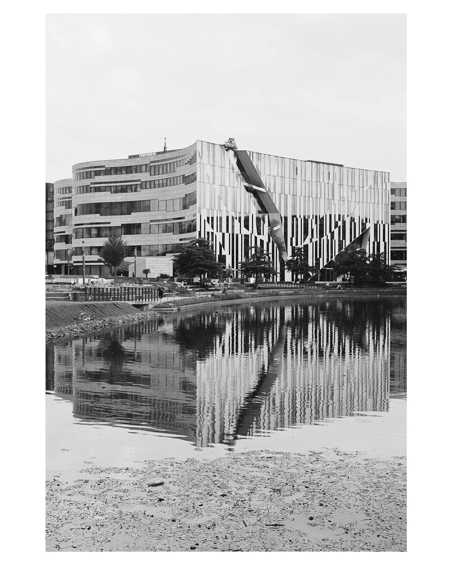 go right.

📷 Canon F-1
🔎 Canon FD 28mm 1:2.8 S.C.
🎞️ @ilfordphoto XP2
🔬 @optikoldschool 

#theanaloguedispatch #filmfeed #filmphotography #cyriax #duesseldorf #moveright #blackandwhite