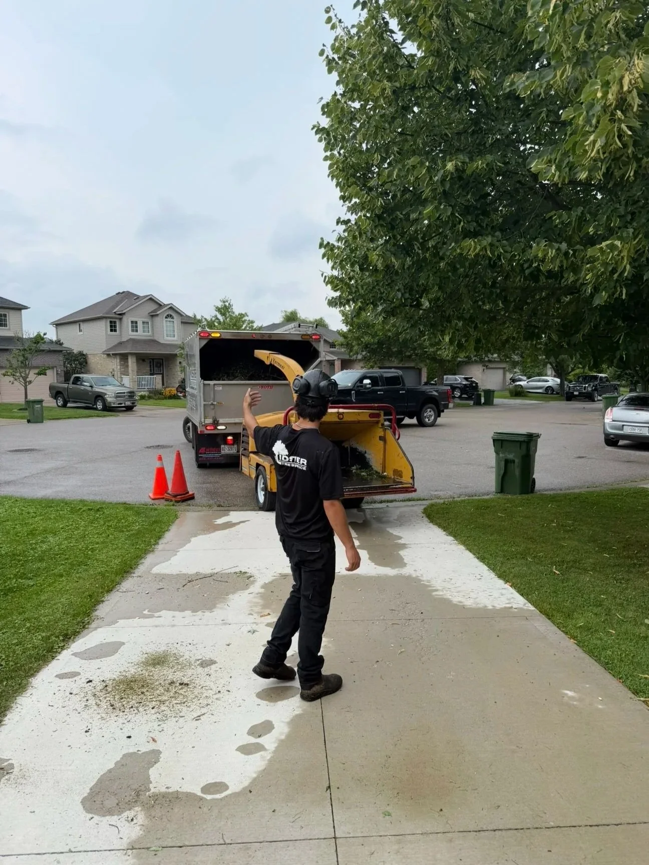 Lidster crew clearing trimmings from a customer property
