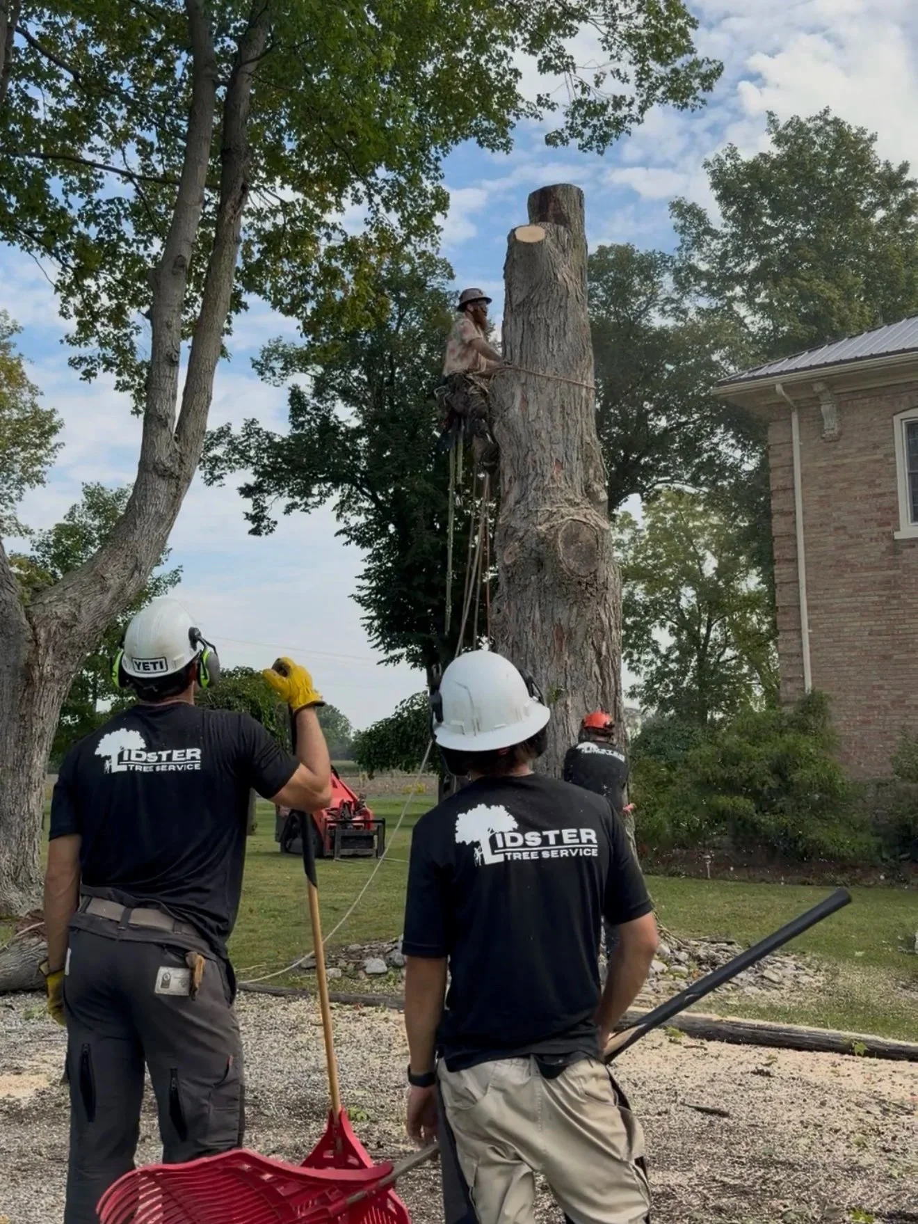 Lidster crew removing a large tree