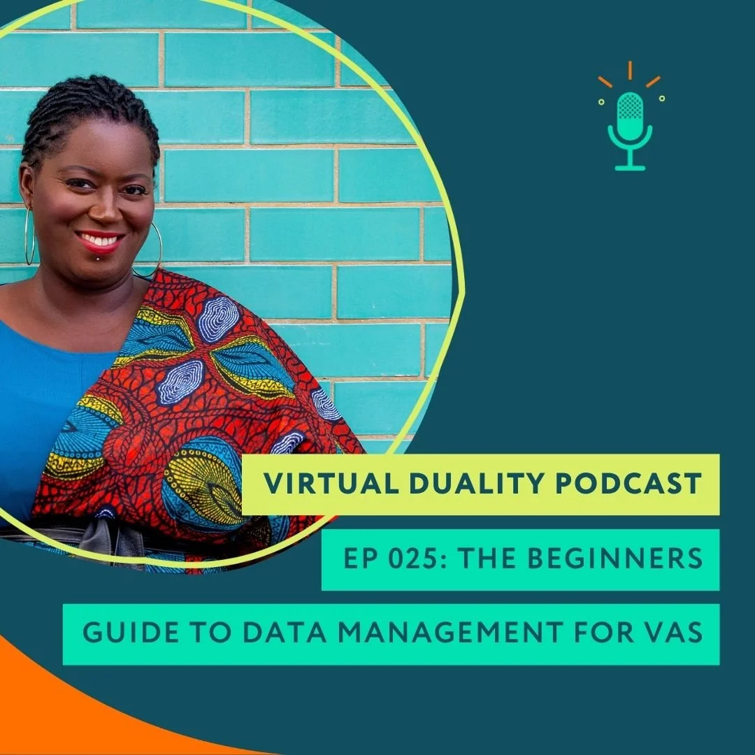 025: ​​The Beginners Guide to Data Management for VAs