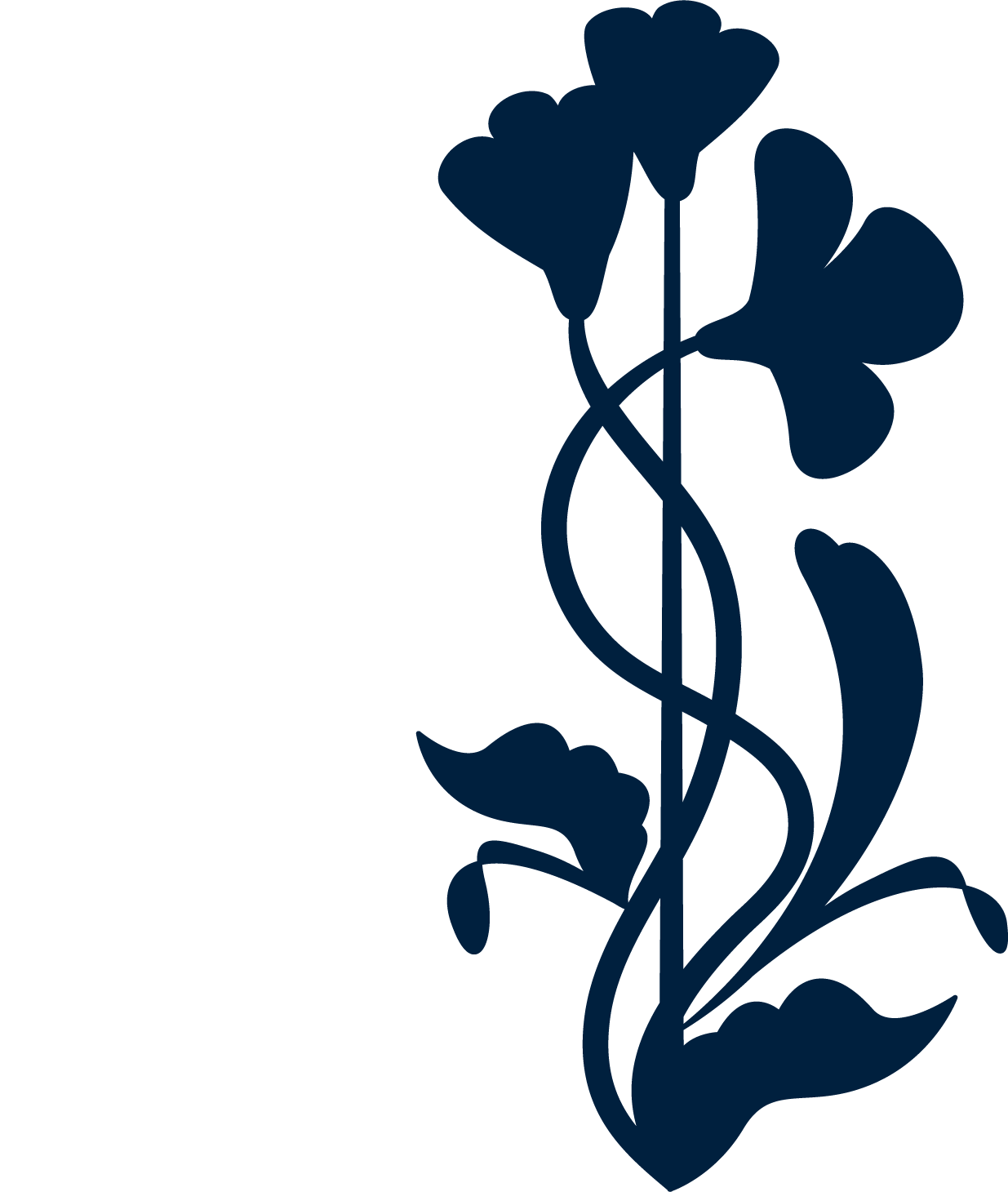 A dark silhouette of a plant with three heart-shaped leaves.