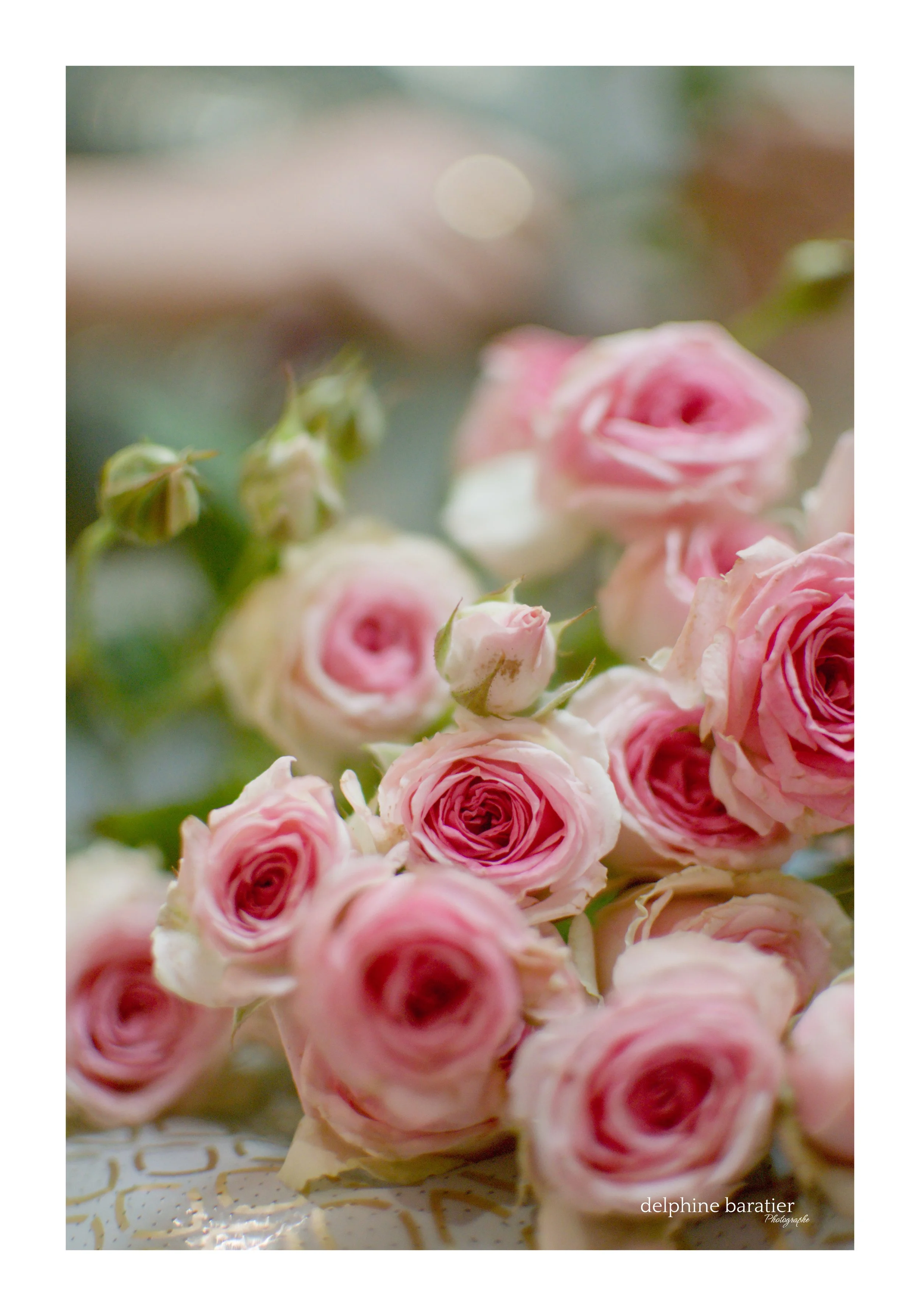 Nymphéa Fleurs - Marie - Photo Delphine Baratier 5.jpg