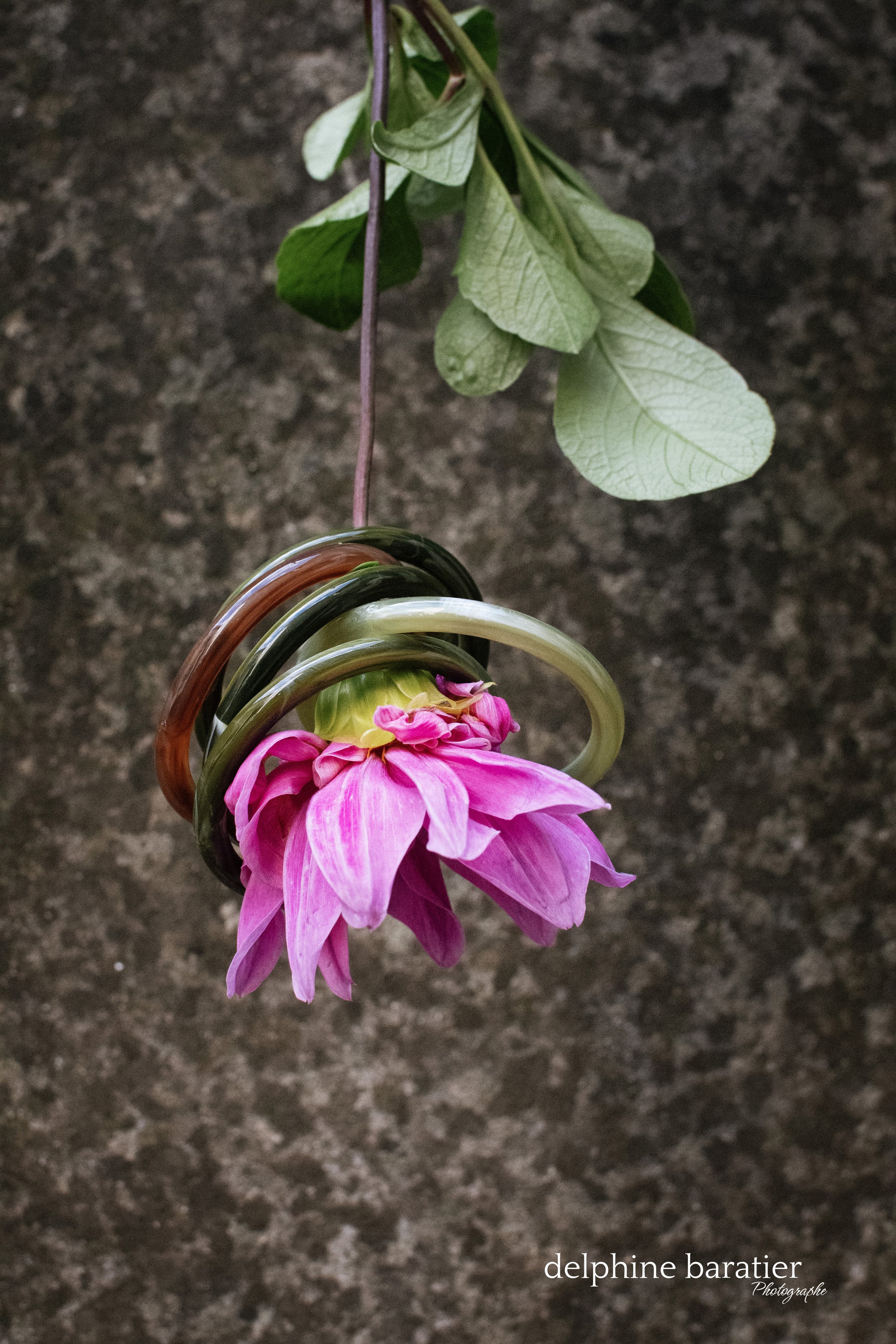 Nymphéa Fleurs - Marie - Photo Delphine Baratier 9.jpg