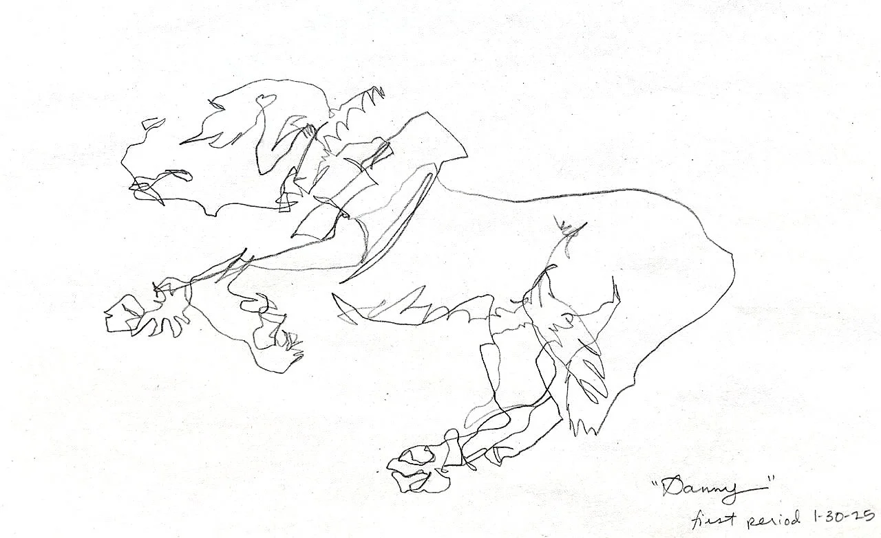 Blind Contour of Yellow Lab