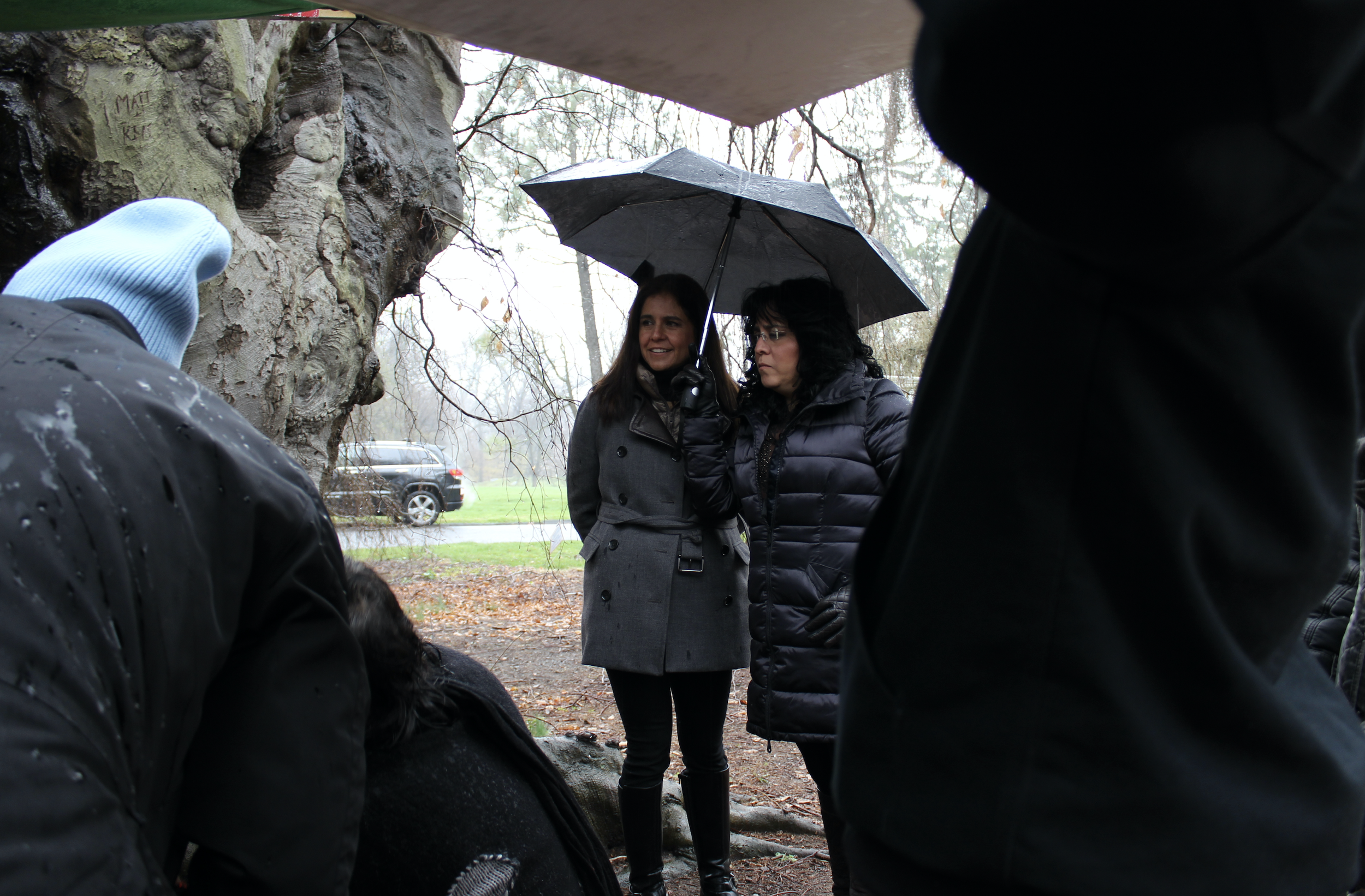 Screen Shot 2025-04-27 at 11.46.18 AM.png