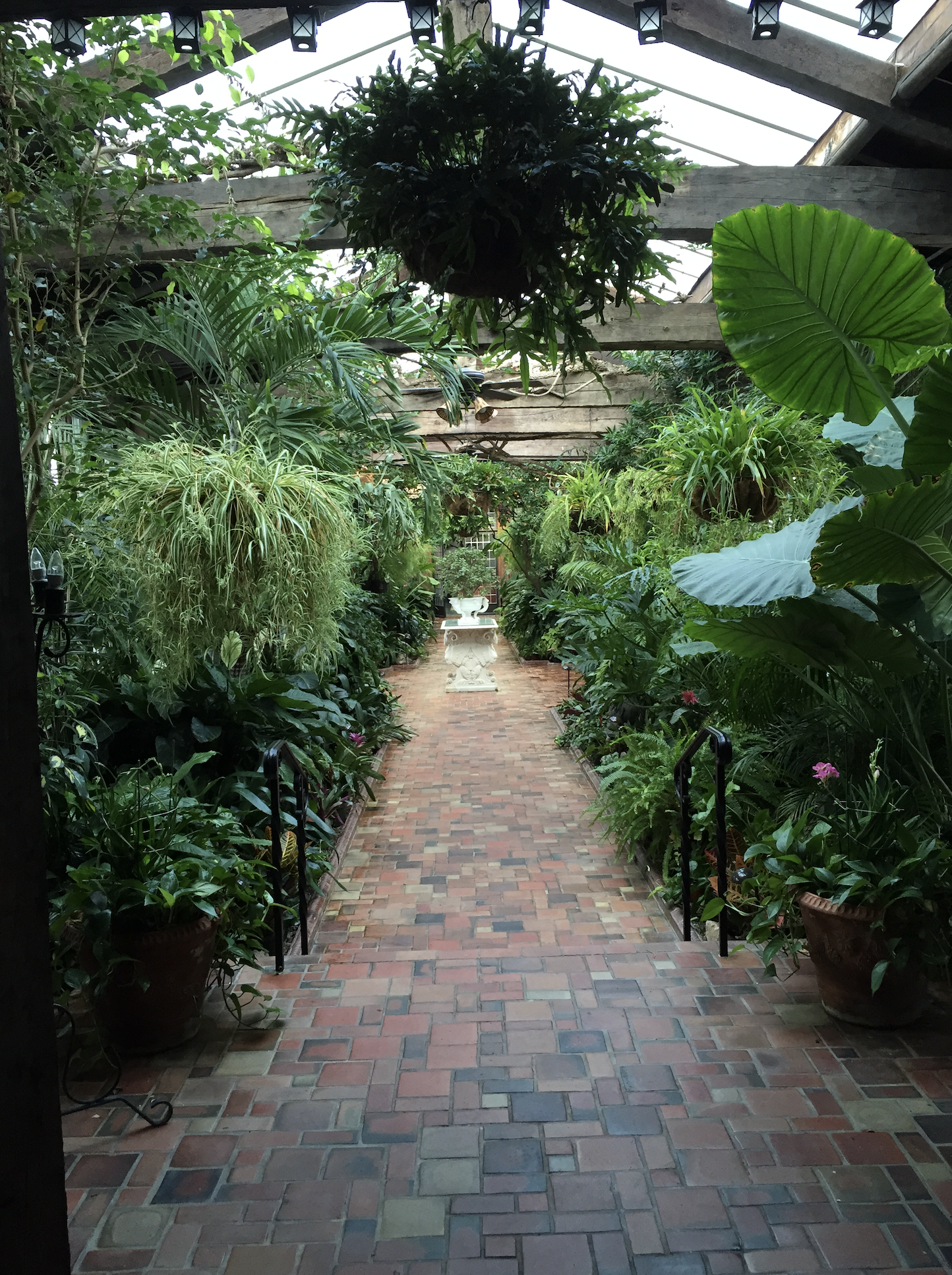 Screen Shot 2025-04-27 at 12.24.21 PM.png