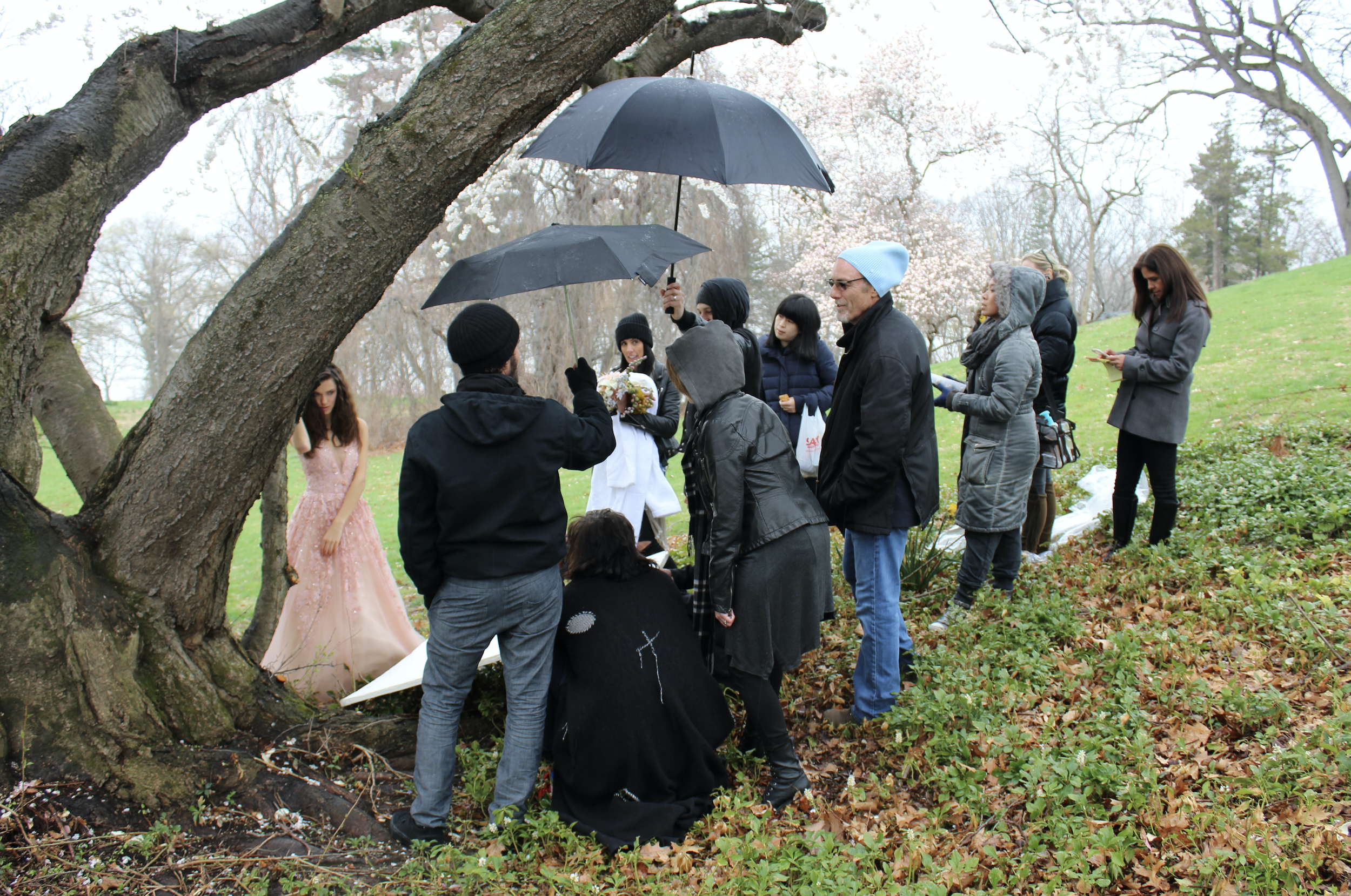 Screen Shot 2025-04-27 at 11.44.58 AM.png