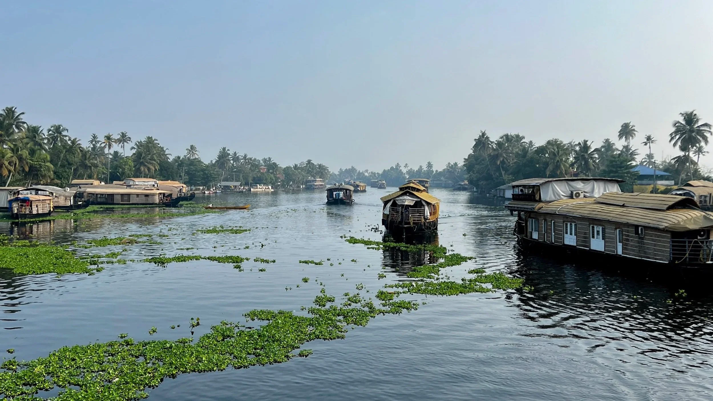 A landscape view from a houseboat on the backwaters of Alleppey, Kerala, India. The water is calm and there are tropical trees all around and other houseboats on the water