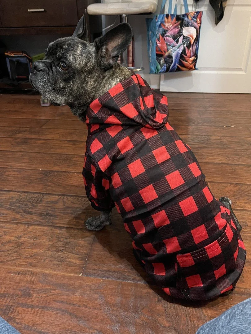 Pickle Boss Pet Costume 1a (Large).jpg