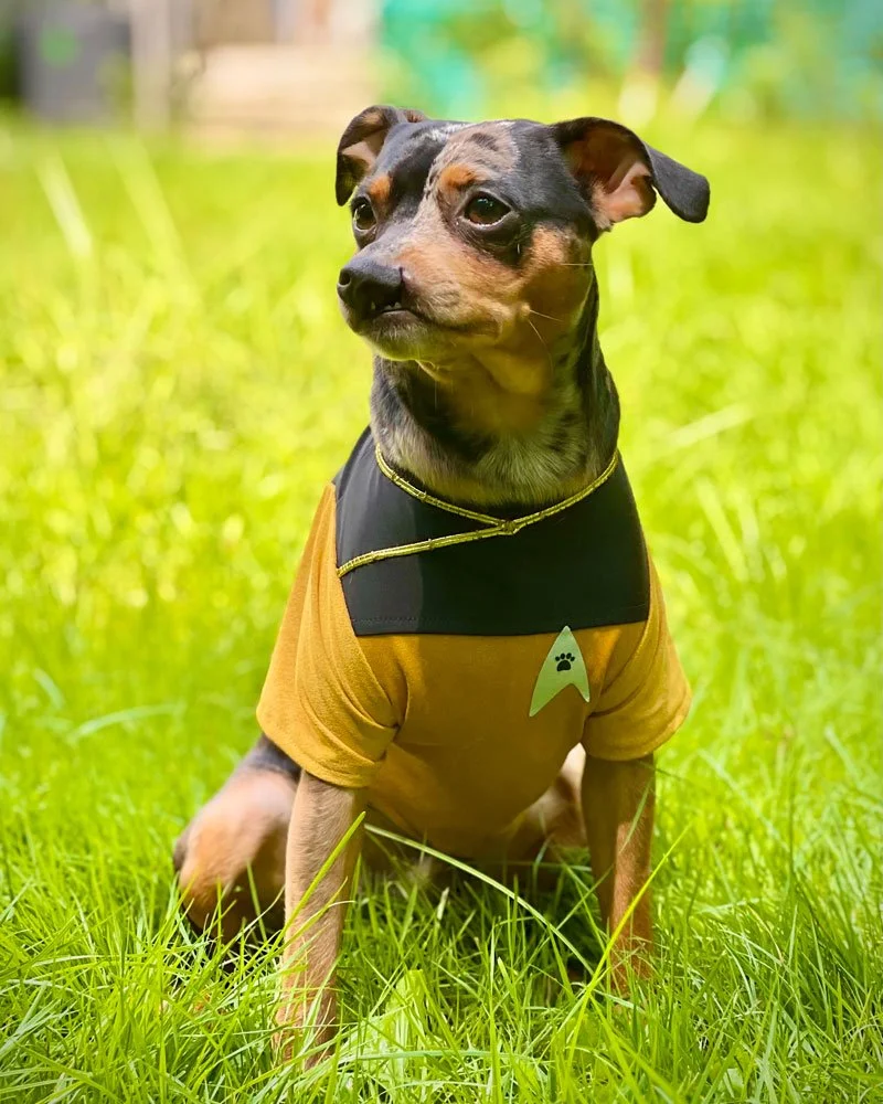STAR TREK PUP
