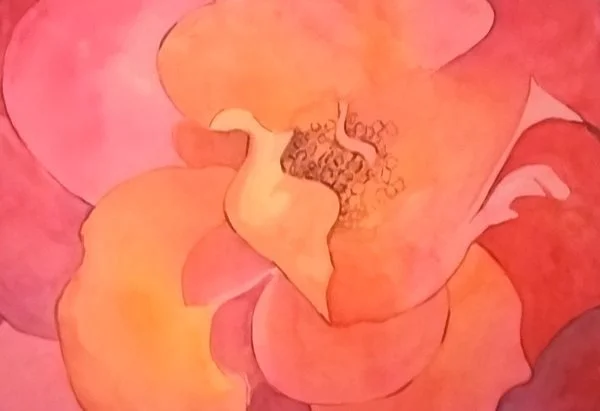 Paula Robertson-Rose