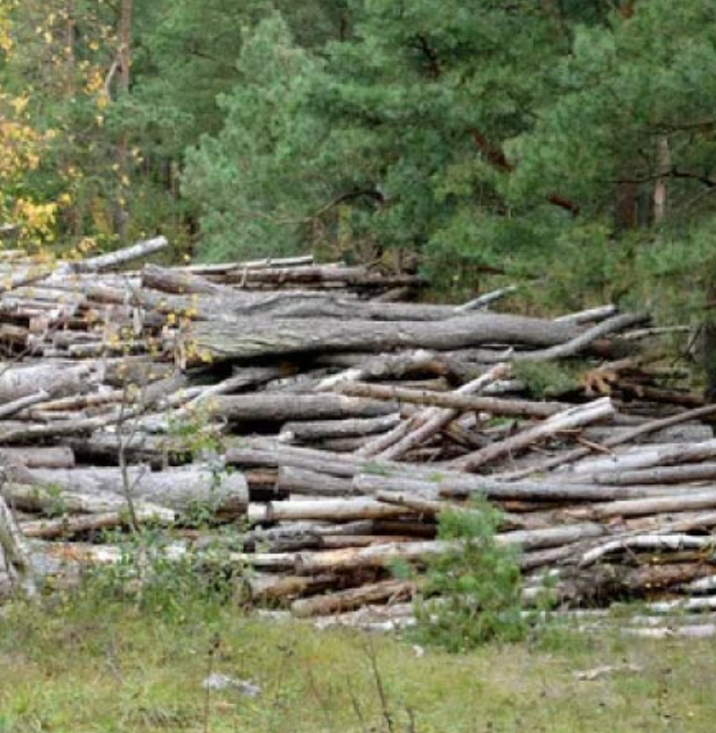 Screen Shot 2025-04-29 at 6.49.02 PM.png