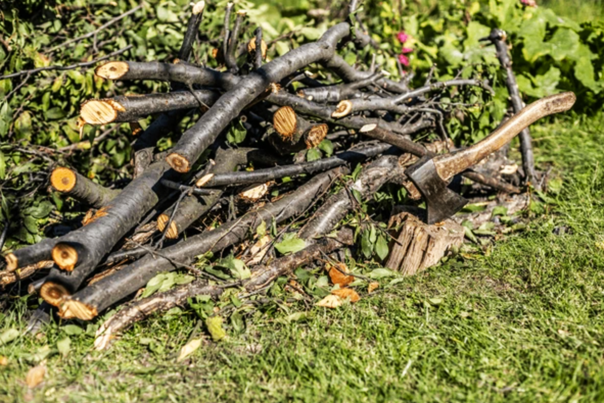 Screen Shot 2025-04-29 at 6.46.51 PM.png