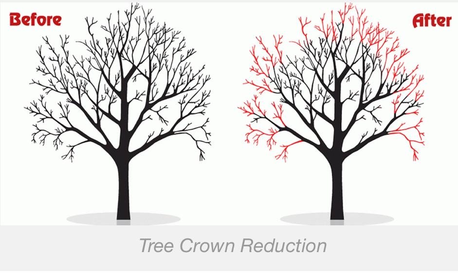 849b7c3f-0e4f-4d05-98b0-01c89c37e7ed 2.JPG