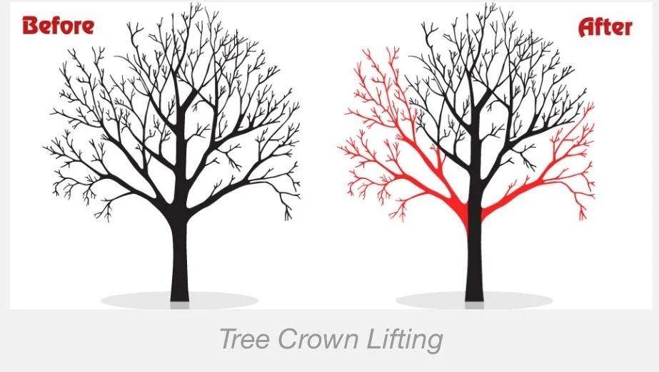 08491186-13c8-4a1e-9851-038497d4e3d5 2.JPG