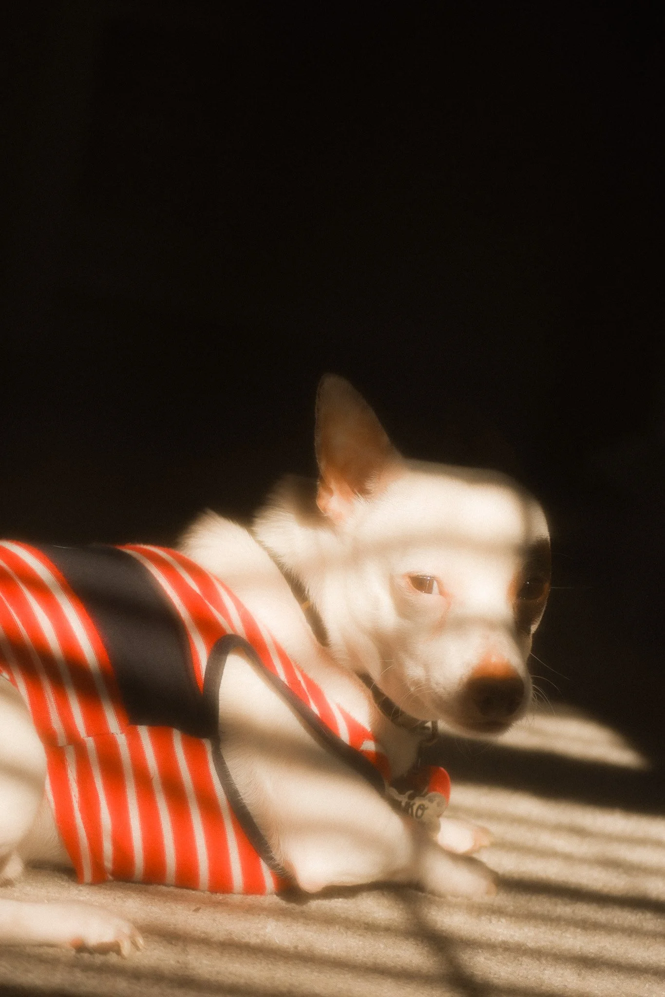 Zuko