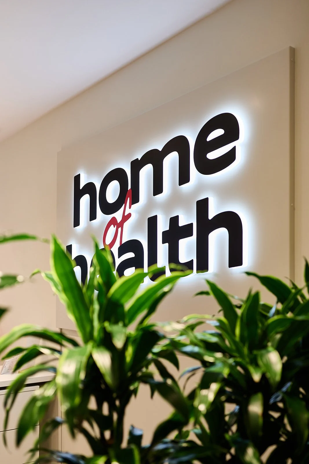 Ein beleuchtetes Schild mit der Aufschrift "home of health" an einer weißen Wand, teilweise verdeckt durch grüne Zimmerpflanzen im Vordergrund.