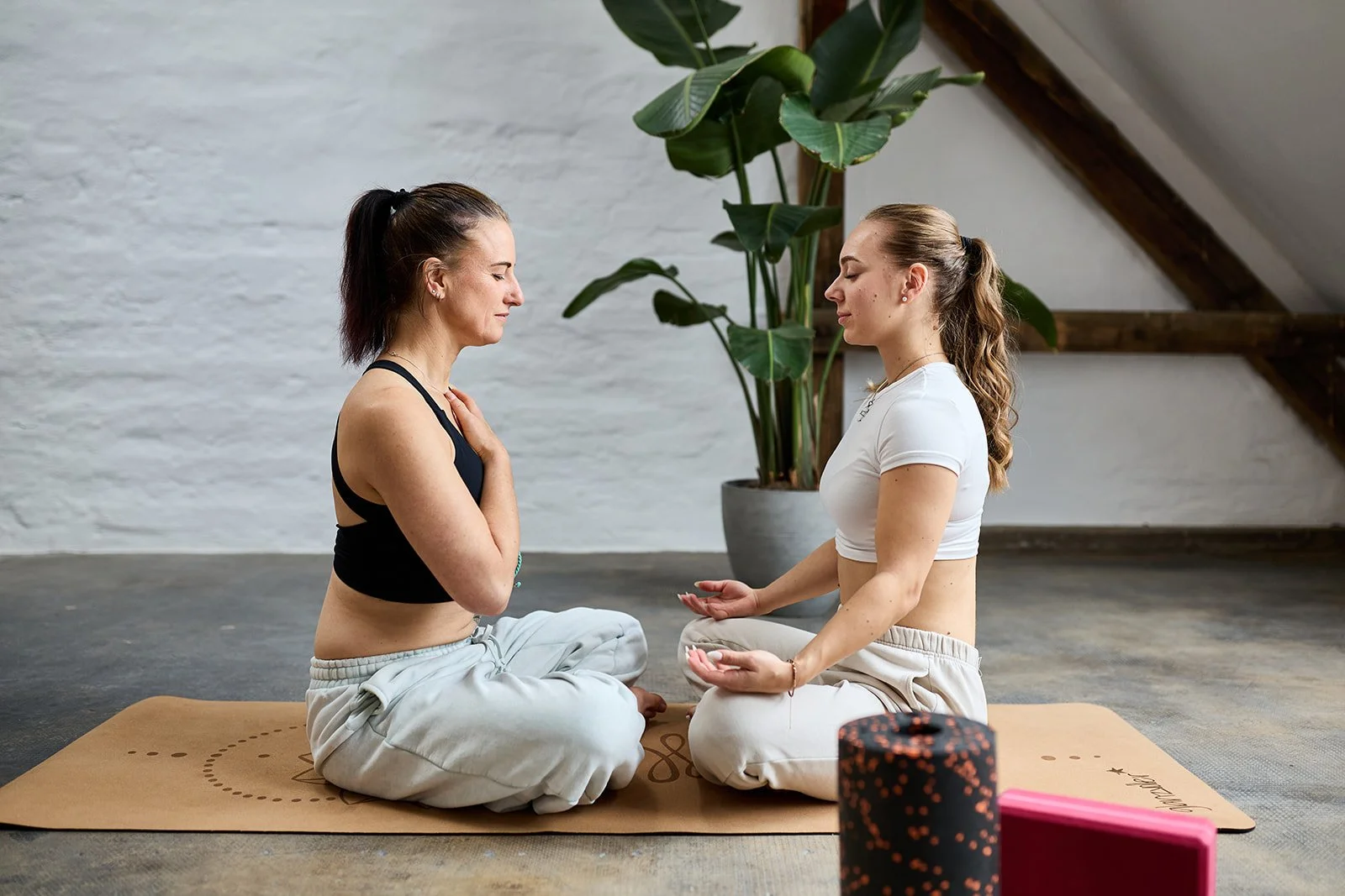 Zwei Frauen in Yoga-Posen, die auf einem Yogamatte im Meditationsraum sitzen, eine weibliche Person berührt ihre Brust, während die andere die Handflächen nach oben zeigt. Im Hintergrund eine große Pflanze und ein Fenster im Dachgeschoss.