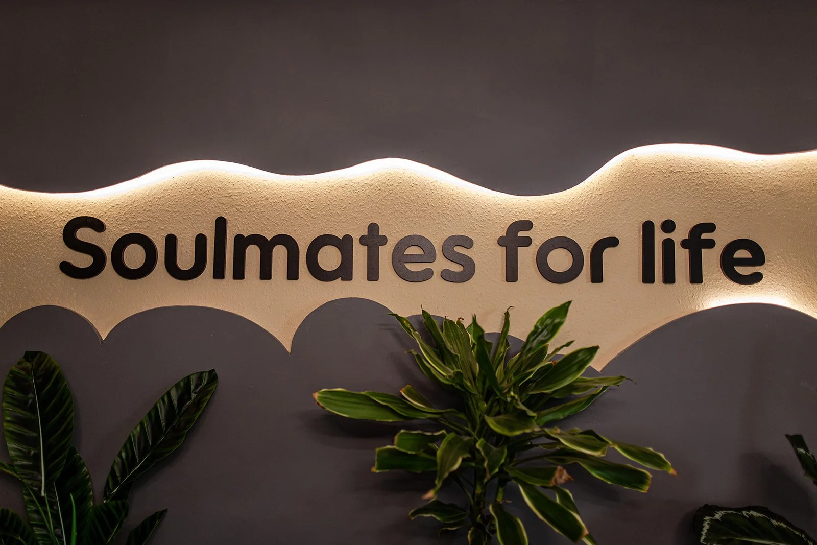 Wanddekoration mit der Aufschrift "Soulmates for life" auf einer wellenförmigen, hellen Oberfläche, umgeben von grünen Pflanzen.
