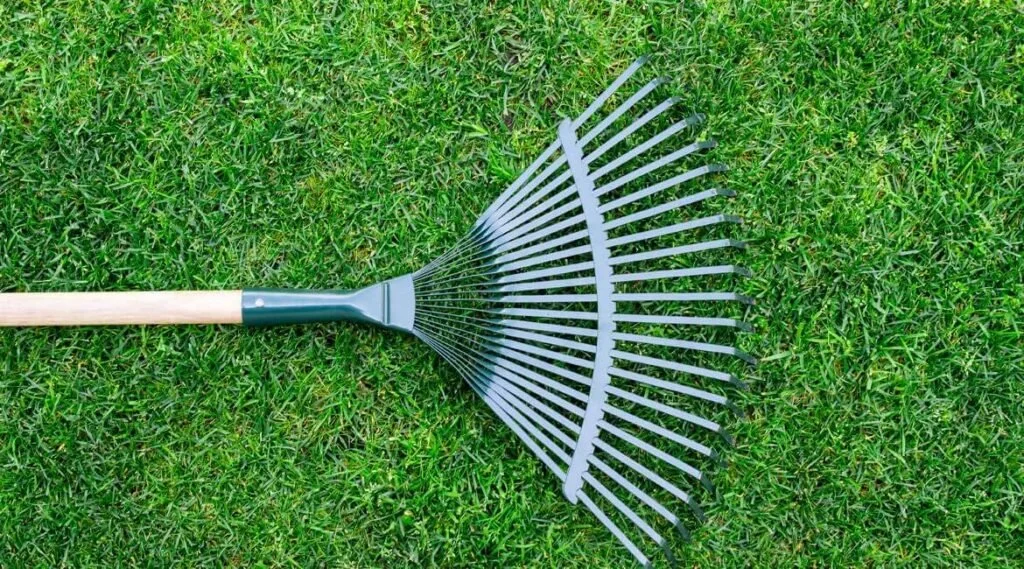 A metal rake lying on green grass