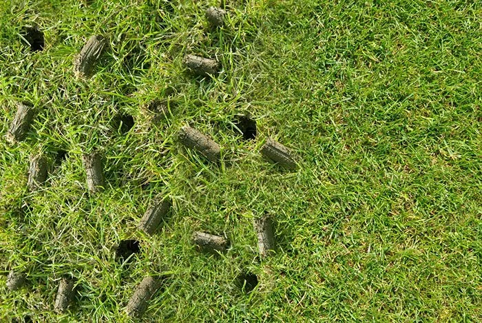 lawn-aeration-plugs-w.jpg