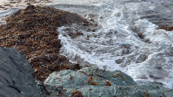 The wild November sea&hellip; a reminder of the ebb and flow of life. What a blessing to live here in North Wales. Carrying this energy back into the workshop.