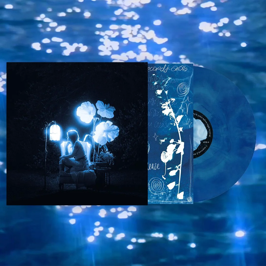 Blue Hour in the Living Room Vinyl