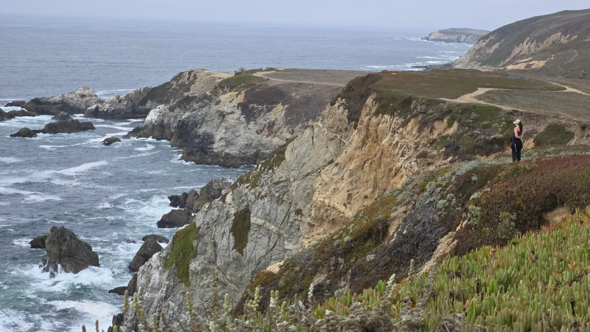 Coastal california
