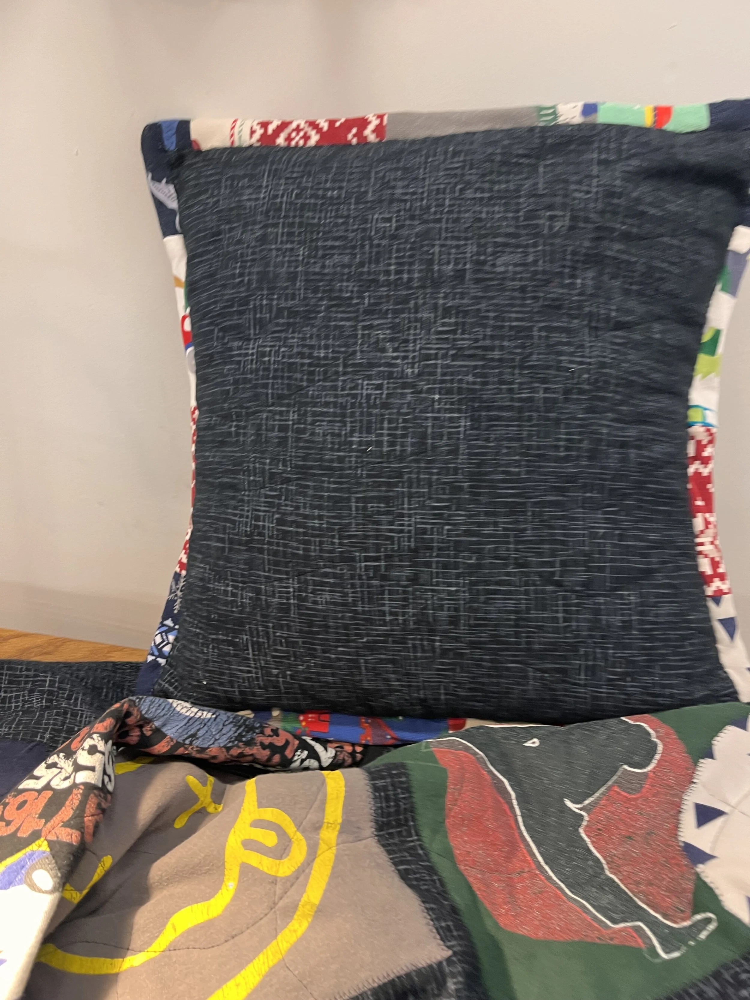 Quilt and matching throw pillows made as a high school graduation present adorned with tshirts and pajamas as applique and binding.  Made in the skills class at Grove House Sewing Studio