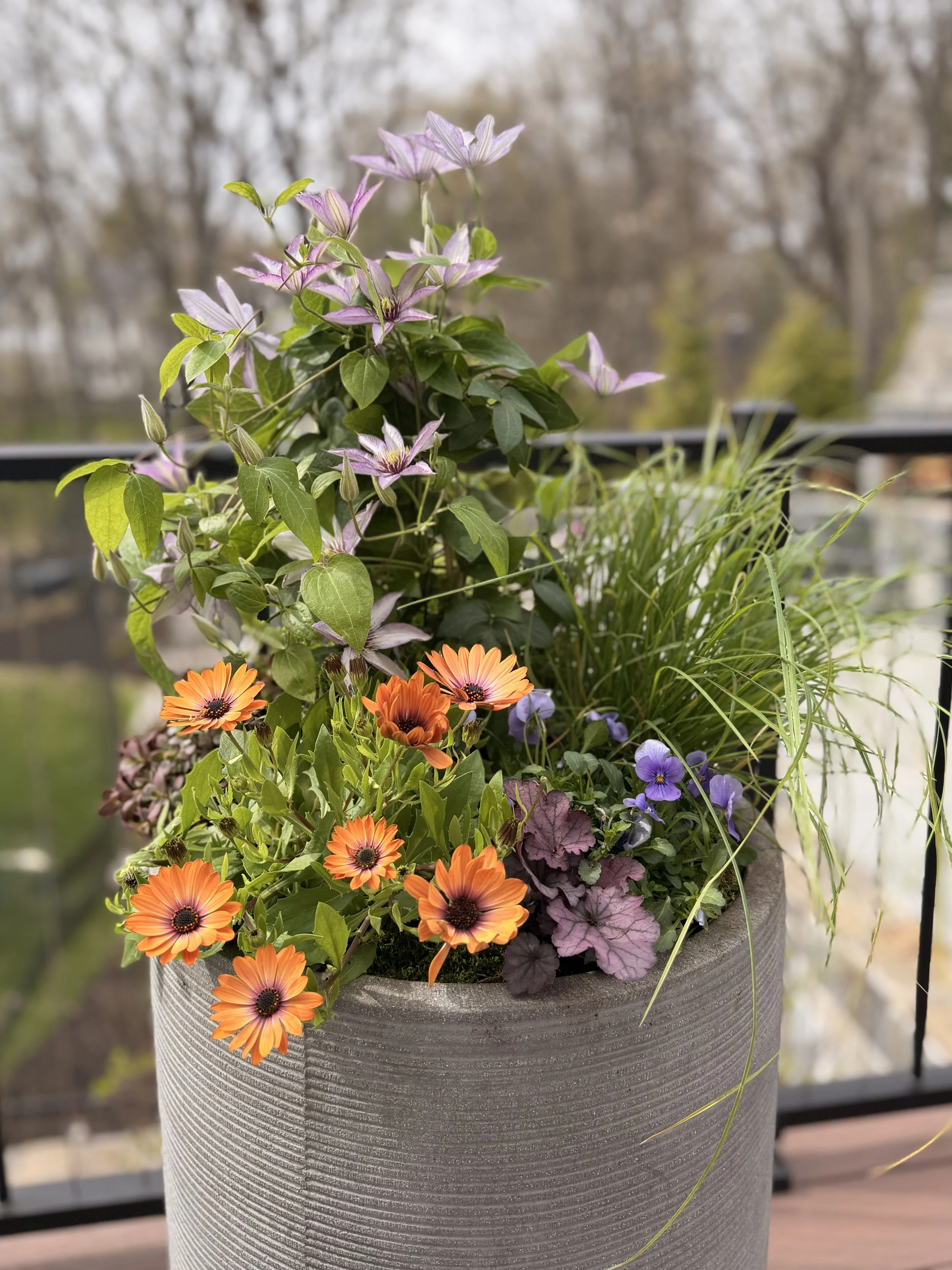 A seasonal outdoor planter containing a variety of flowering plants, with orange and purple flowers, set on a deck.