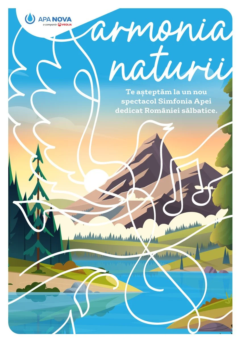 design grafic_afis 01.jpg