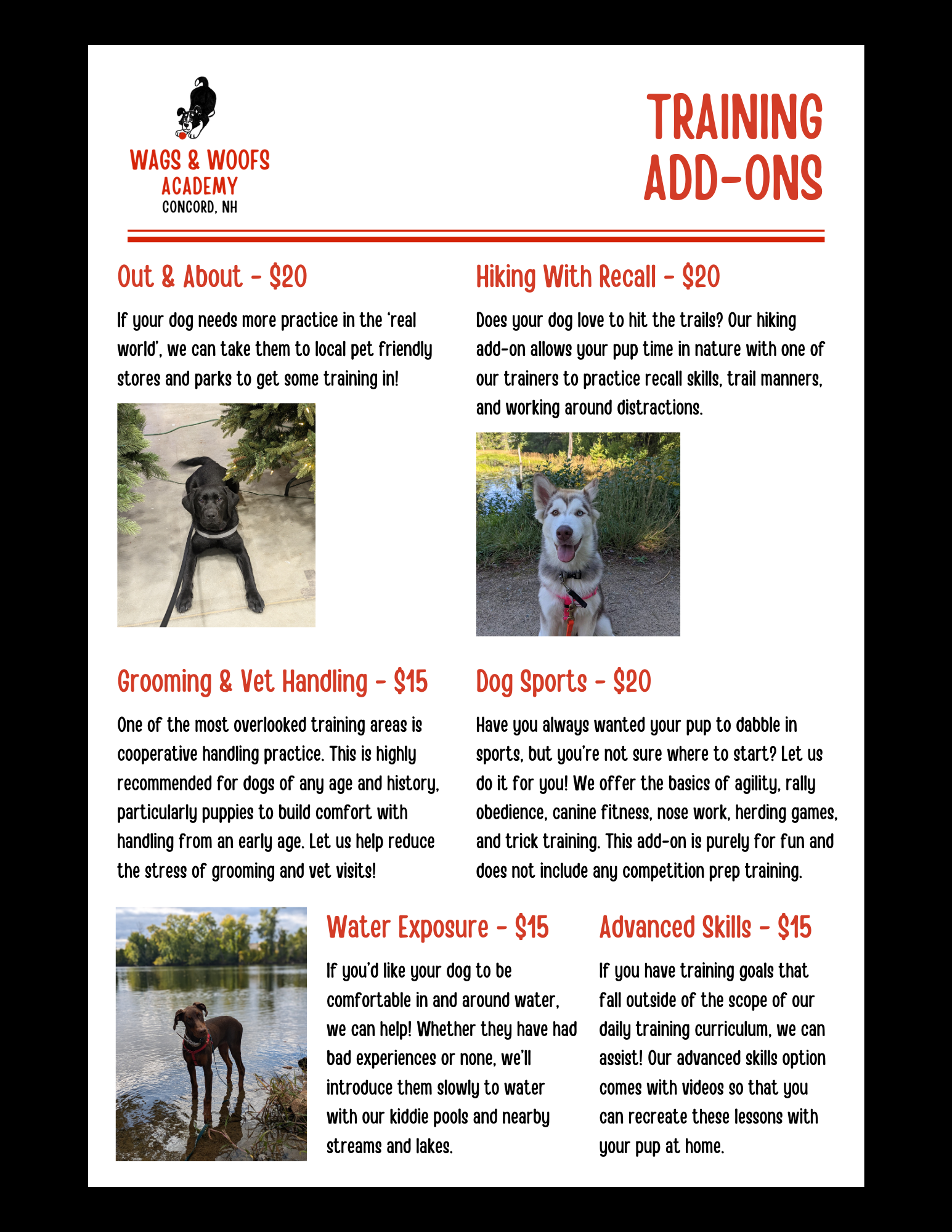 Flyer for Wags & Woofs Academy in Concord, NH, listing dog training add-ons including Out & About, Hiking With Recall, Grooming & Vet Handling, Dog Sports, Water Exposure, and Advanced Skills, with photos of dogs and trainers.