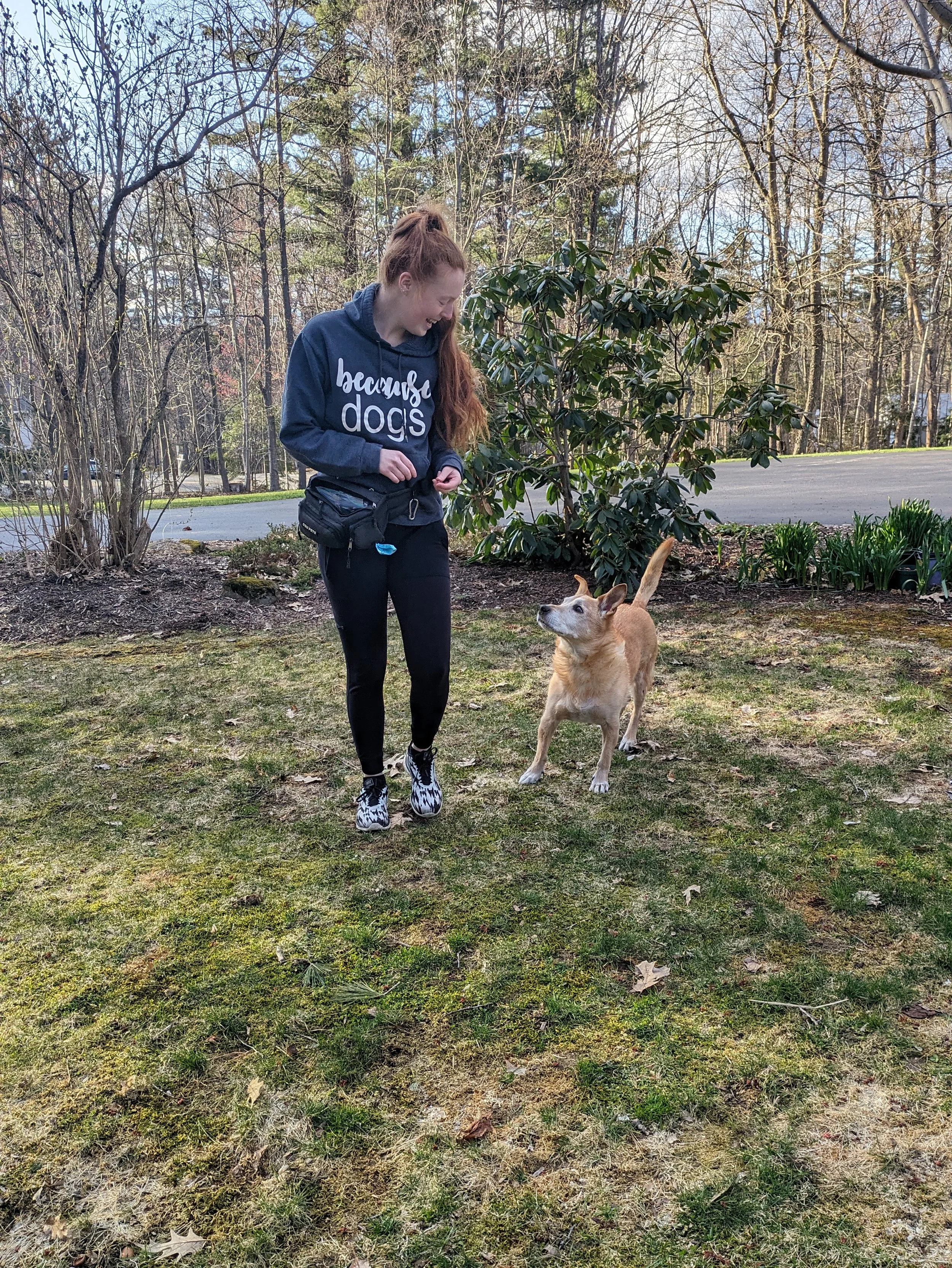 A woman with long red hair, wearing a dark hoodie and black leggings, walking a tan dog with a white face on a leash in a grassy outdoor area with trees and bushes in the background.
