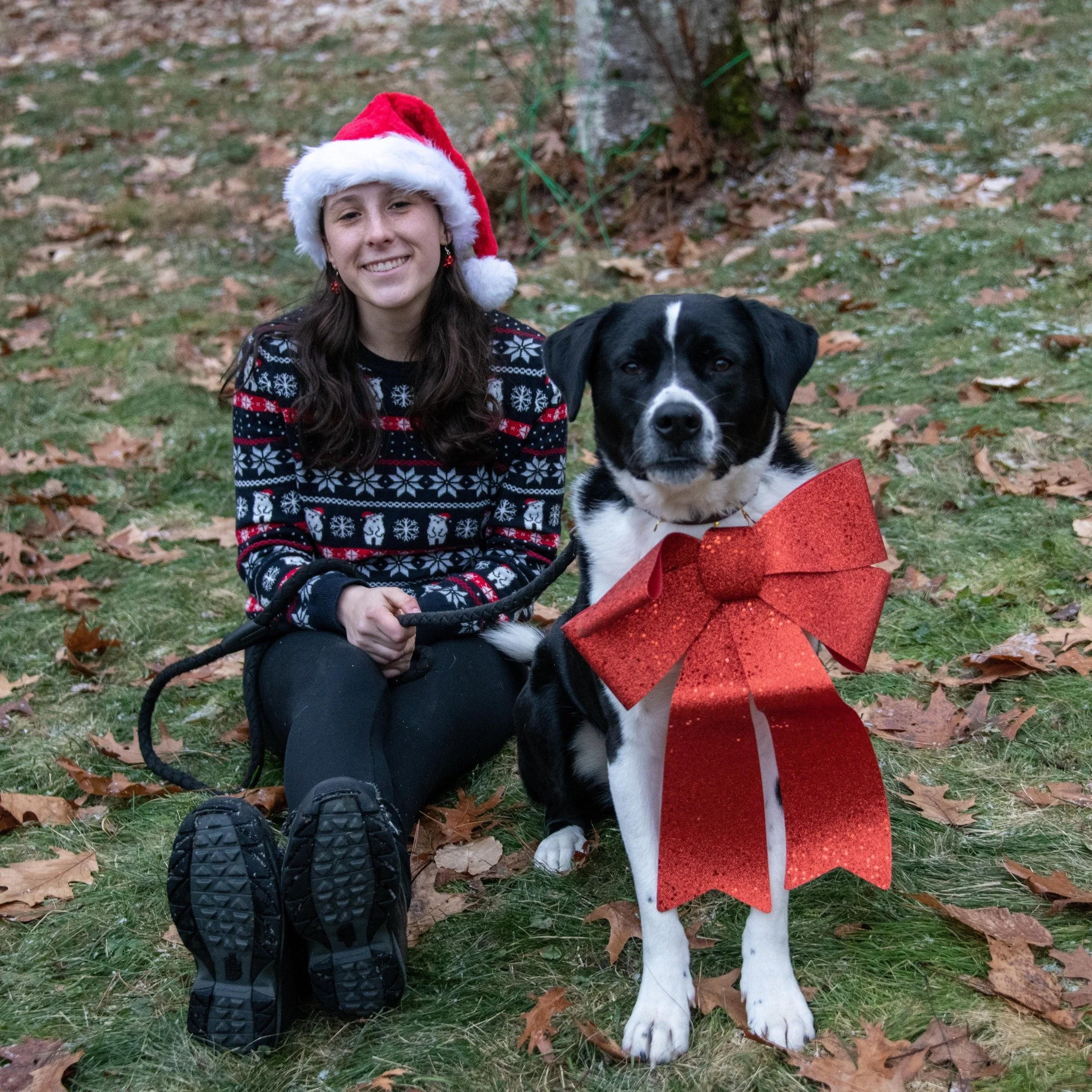 A woman in a Christmas sweater and Santa hat sitting on the ground next to a black and white dog wearing a large red bow tie, outdoors on fallen leaves.
