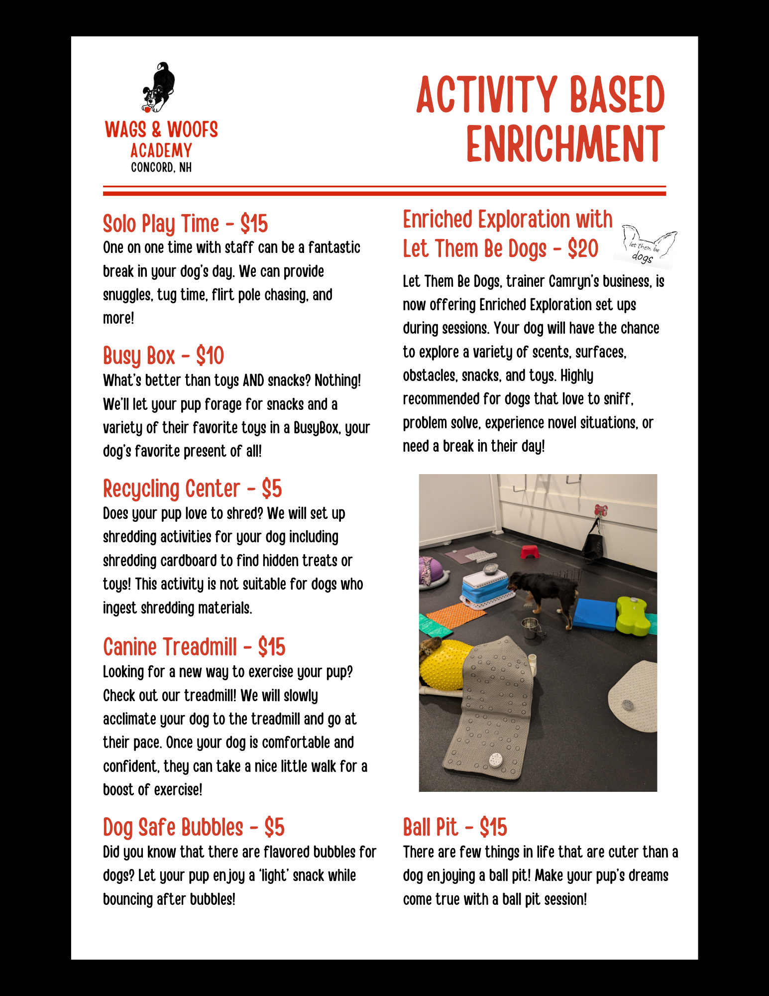 Flyer for Wags & Woofs Academy in Concord, NH, advertising activity-based enrichment programs for dogs, including solo play, busy box, recycling activities, treadmill exercises, bubble treats, ball pit sessions, and exploring setups, with prices and