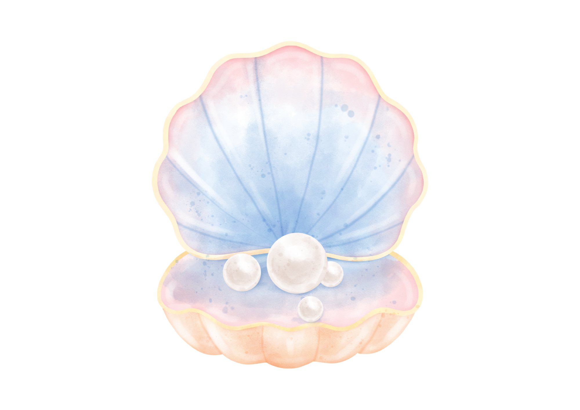 Tuition- Seashell Sweeties