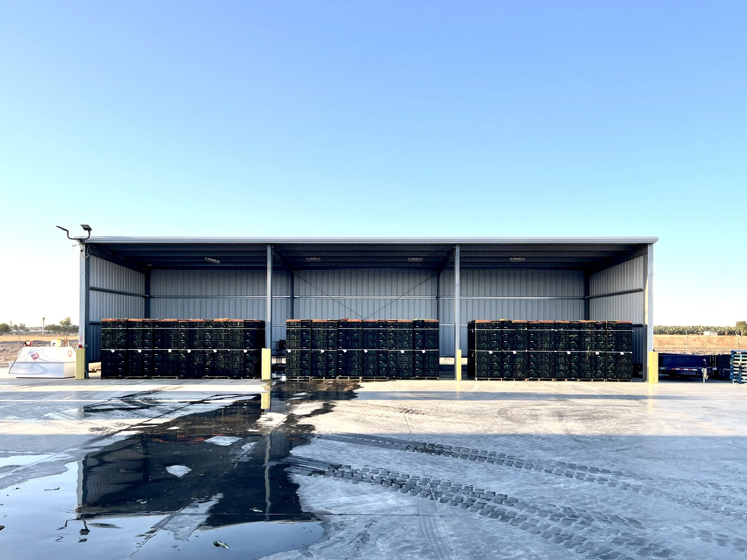 Shade bay (108 plts).JPEG