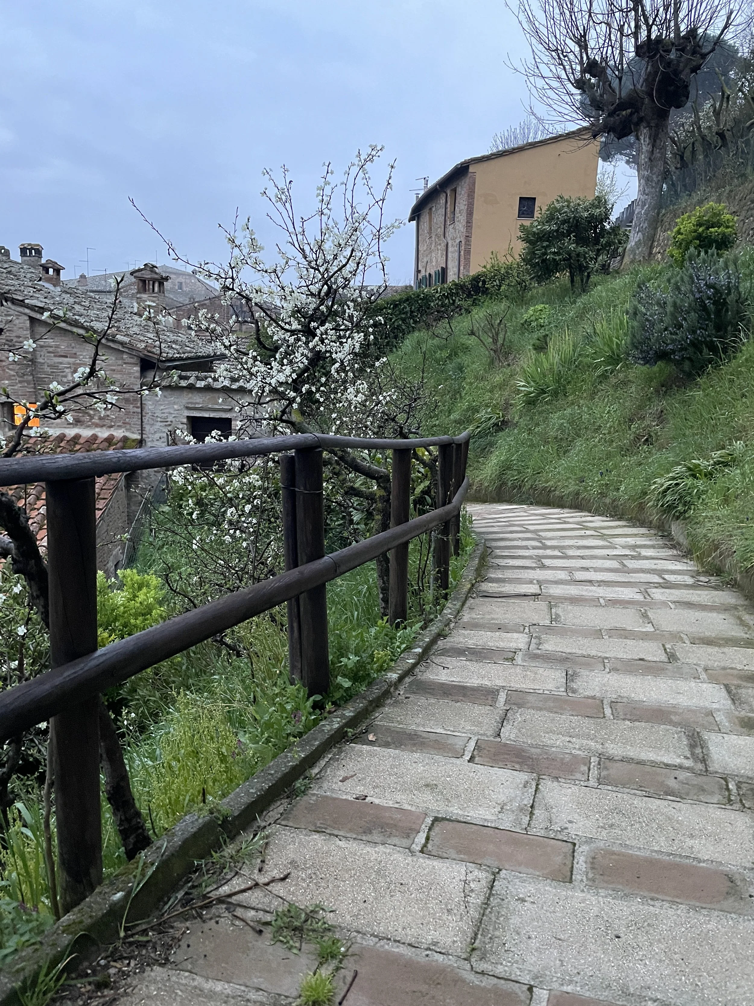 Montepulciano Walkway.JPG