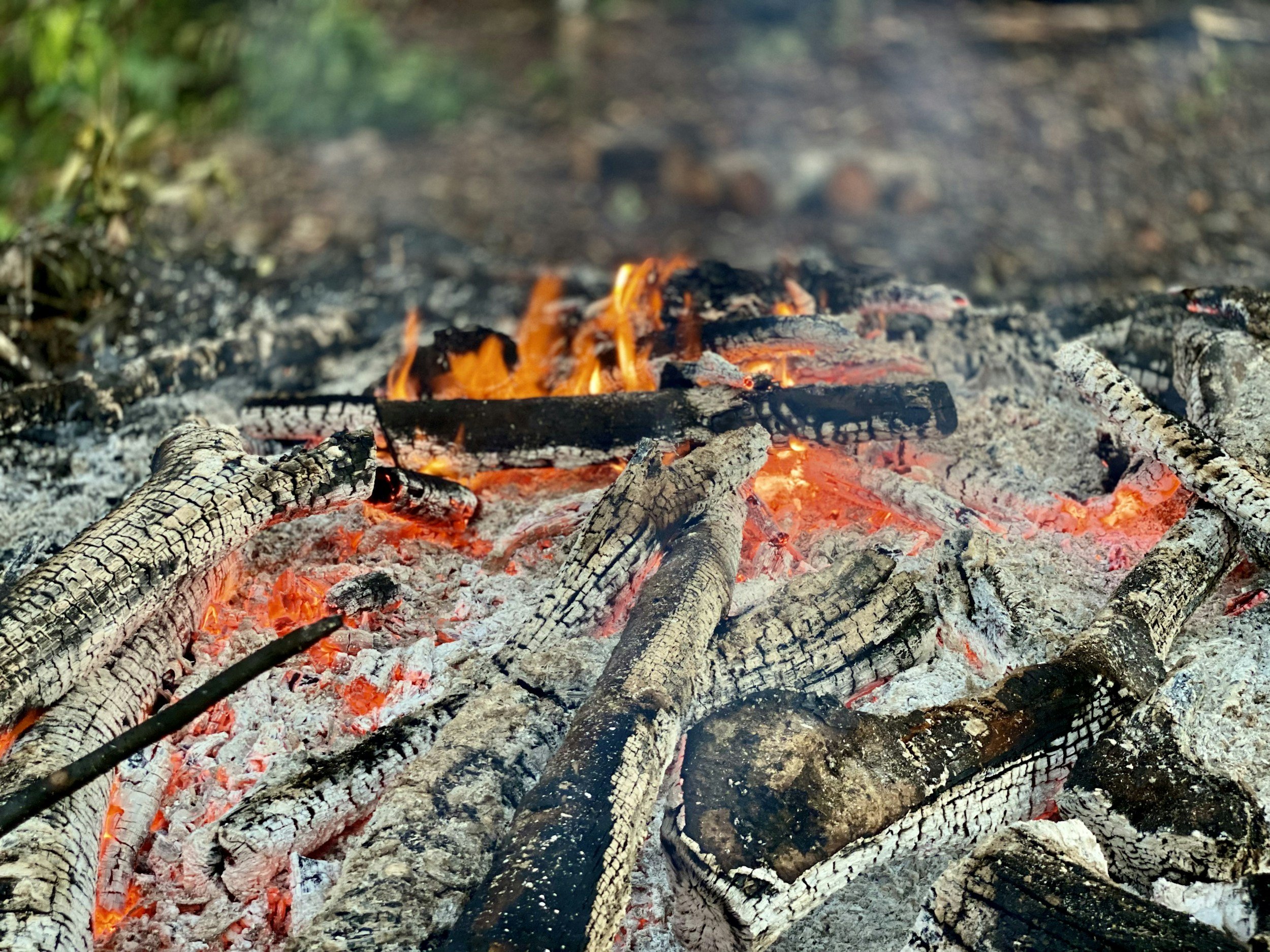fire prevention tree service truckee