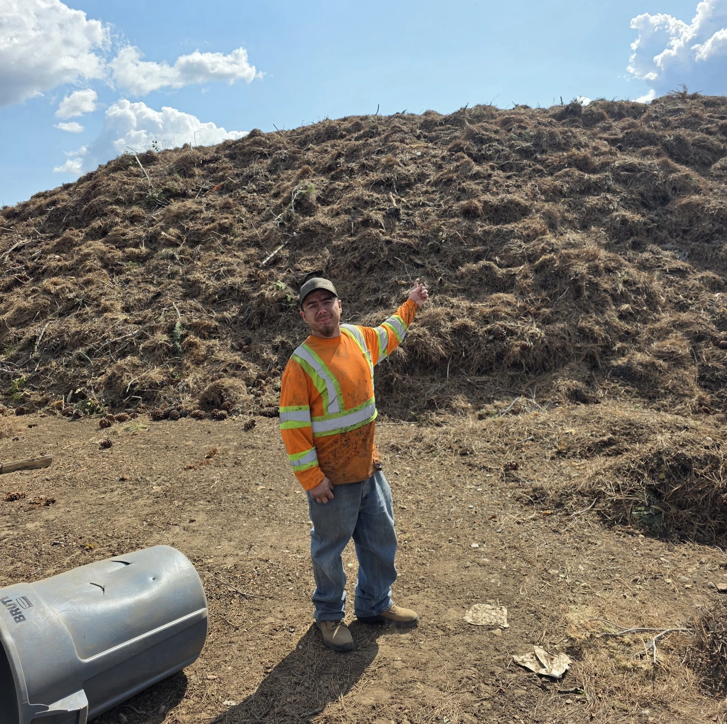 pine needle raking service truckee