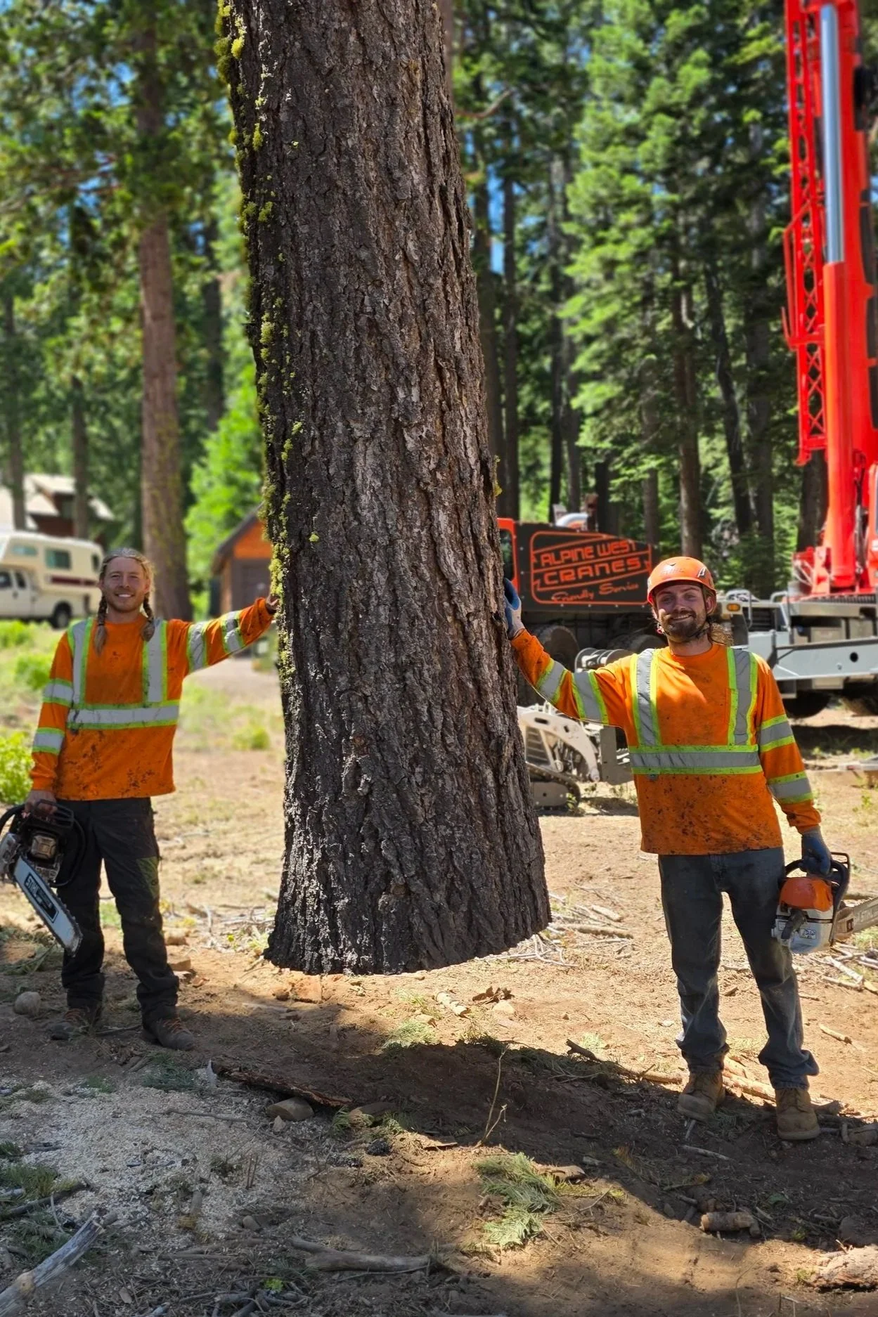 large tree removal crane lake tahoe