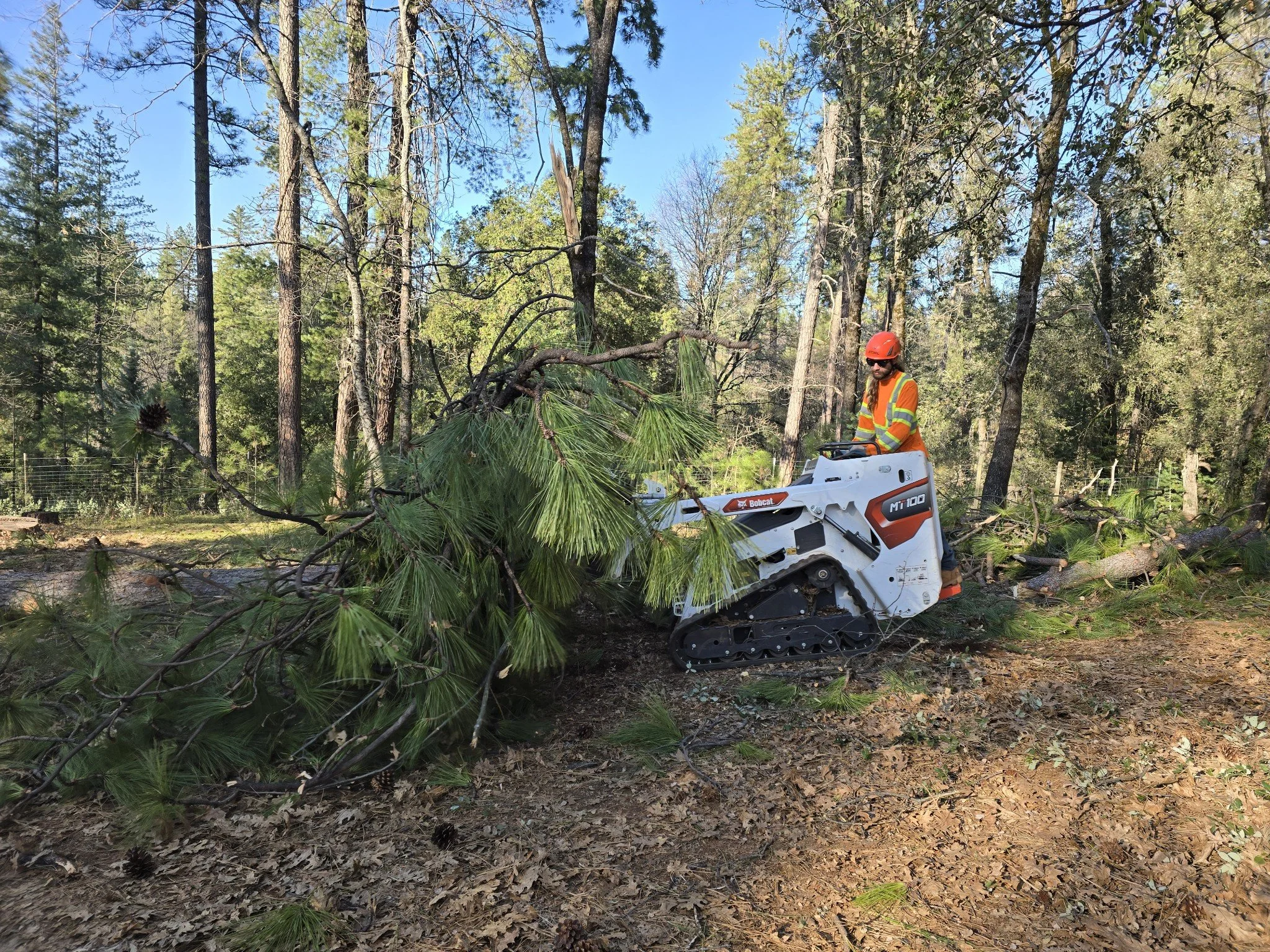 skip steer brush clearing lake tahoe