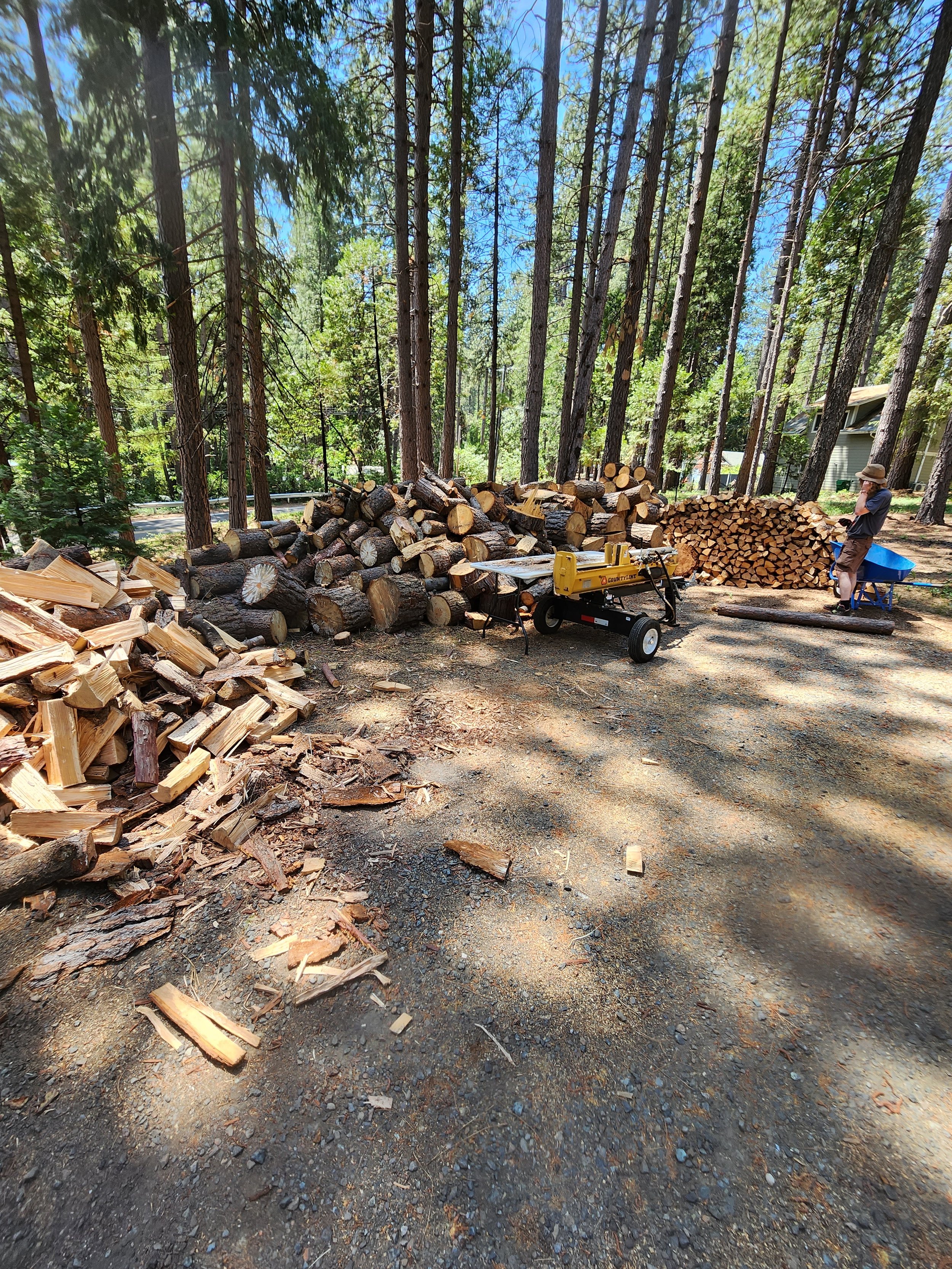 truckee wood splitting service