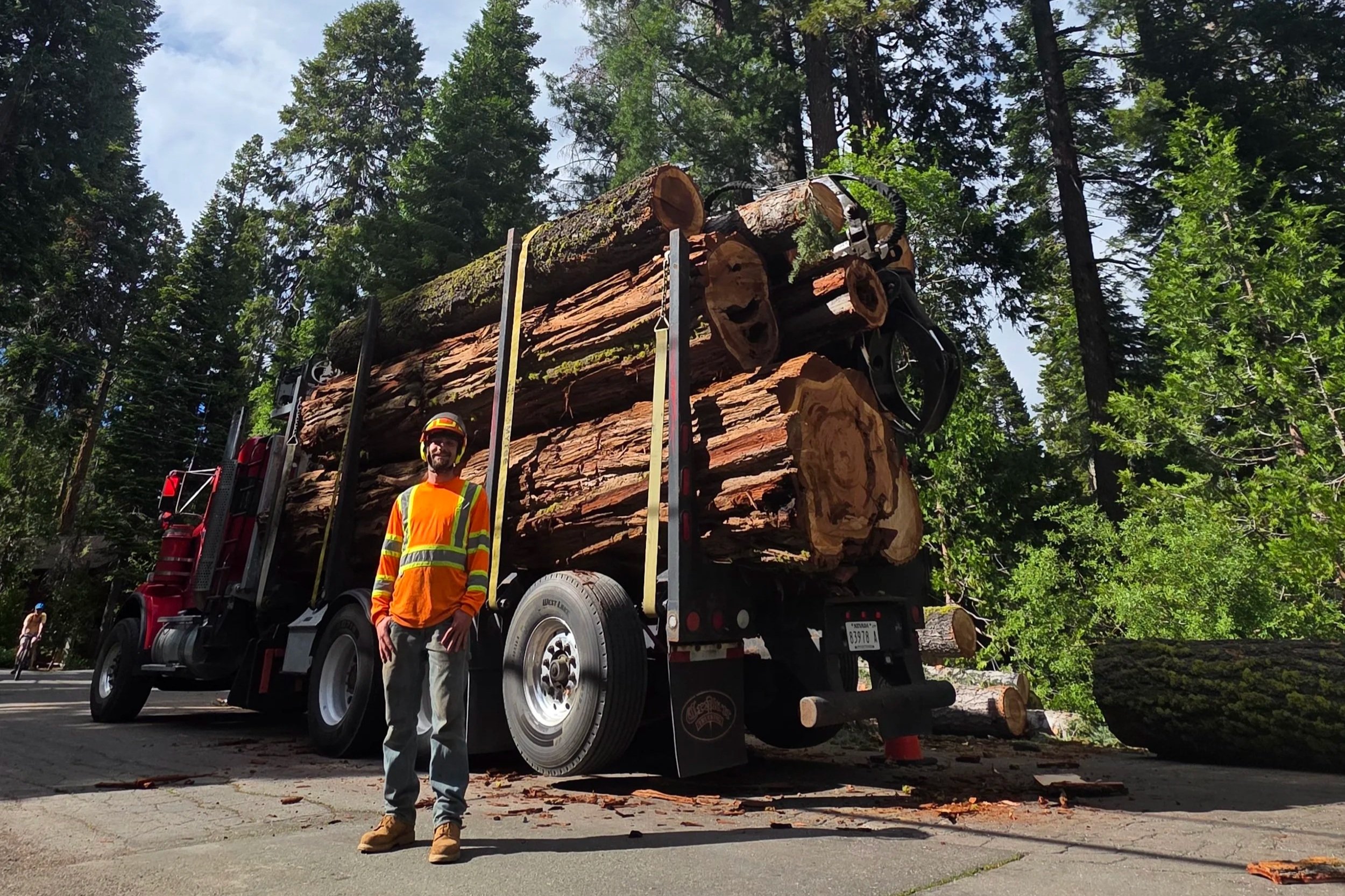 large log truck tree removal service tahoe